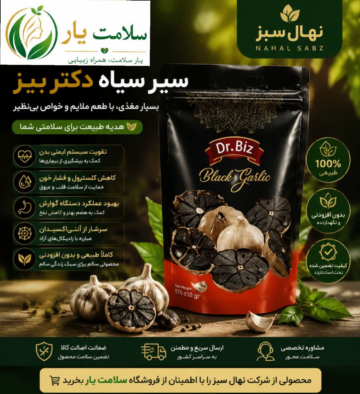 سیر سیاه